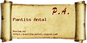 Pantits Antal névjegykártya